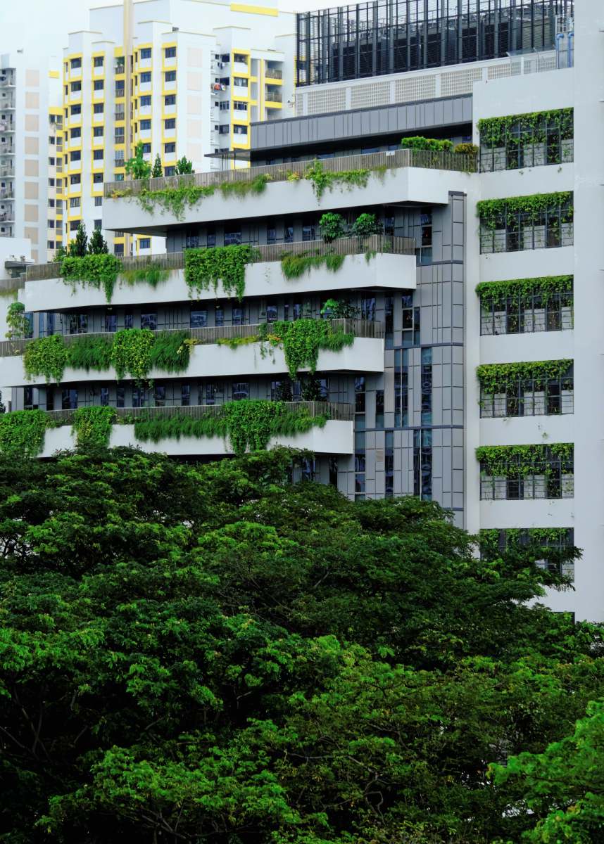 housing estate white concrete building near green trees during daytime hdb